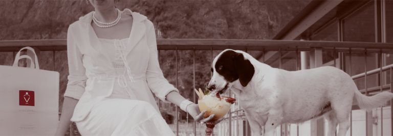 De allerlekkerste gelato haal je bij Visconti